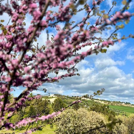 San Gaudenzio Agriturismo La Contea Senigalliaヴィラ エクステリア 写真