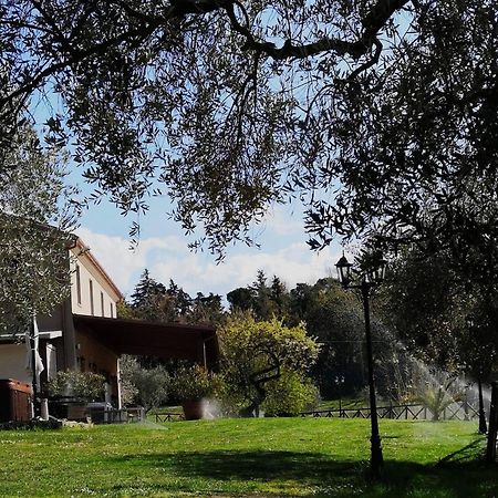 San Gaudenzio Agriturismo La Contea Senigalliaヴィラ エクステリア 写真